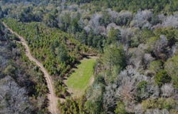 1 Taylor Mill Road, Elba, AL 36323