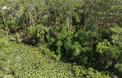 34160 Haas Drive, Webster, FL 33597