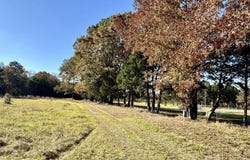 150 Holloway Lane, Greenbrier, AR 72058