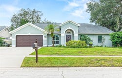 12417 WINDSWEPT Avenue, RIVERVIEW, FL 33569