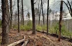 Mantera Ridge, Sugar Grove, NC 28679
