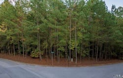 Nottoway lot: 2, Ebony, VA 23845
