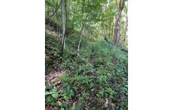 Gibson Rd, Hancock, NY 13783