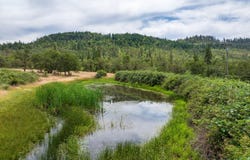 11598 Butte Falls Highway, Eagle Point, OR 97524