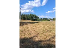 142E, Doniphan, MO 63935