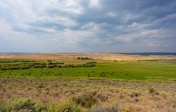 DURGAN-MILLER RANCH, Paulina, OR 97751