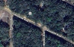 ANNETTE Avenue, INTERLACHEN, FL 32148