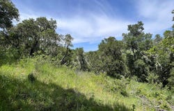 33446 E Carmel Valley RD, CARMEL VALLEY, CA 93924