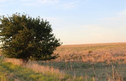 N CR 176, Gage, OK 73843-0000