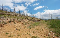 30 Sheep Horn Ct, Bellvue, CO 80512