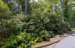 L 295 Whisper Winds Court lot: 295, Sapphire, NC 28774