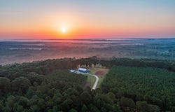 1882 County Rd 4419, Brundidge, AL 36010