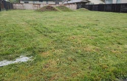 221 Red Cedar Lane, Cave Junction, OR 97523