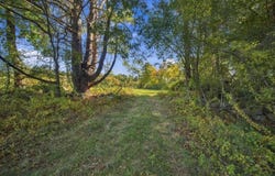 175 Warner Hill Road, Derry, NH 03038