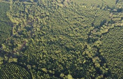 McManus Road, Lacey, AR 71655