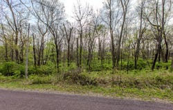 56,57 Summit Drive, Mackinaw, IL 61755