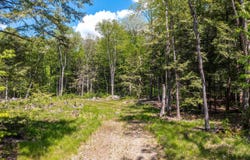 585 Sawmill Road, Wardsboro, VT 05360