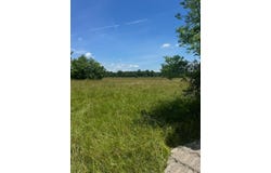 Road 684, Tupelo, MS 38801