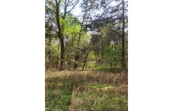 Lakeview lot: 7, Ozark, AR 72847