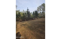 E Lake Cypress Drive, Perkinston, MS 39573