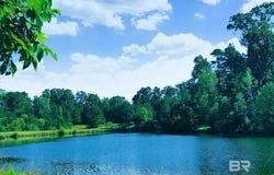 Highway 17, Millry, AL 36558