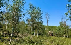 10775 E TANGLEWOOD Dr, Heber City, UT 84032