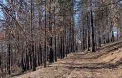 8367 15 N 07 Road, Lucerne, CA 95458