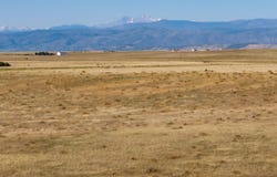 1 CR 7, Wellington, CO 80549
