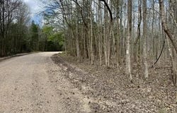 Milligan Campground Road, Strawberry, AR 72469