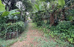 Mayaguez, Mayaguez, PR 00612