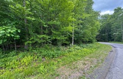 0 Prentice Gorge Rd., Unadilla, NY 13849