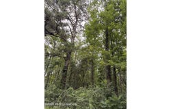 Cedar Ridge lot: 3, McComb, MS 39648