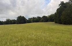 TBD A CR 2500, Eustace, TX 75124