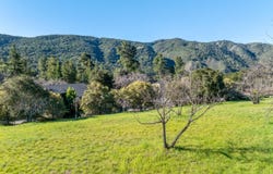 29 E Carmel Valley RD, CARMEL VALLEY, CA 93924