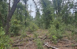 N 53 Road, Other Florida, FL 32066-0000