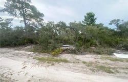 325 Brant Avenue, Sebring, FL 33870