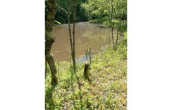 Hickman Fork Rd, Louisa, KY 41230