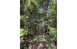 370 CR 222, Brookeland, TX 75931