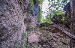 County Road 2661, Mountain View, MO 65548