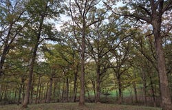 0 Highway D - Tract 5a (14+/- Acres), Eolia, MO 63344