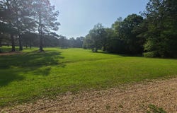 Thompson Lane, Carriere, MS 39426
