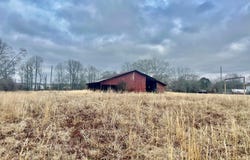 TRULL Rd, Winfield, AL 35594