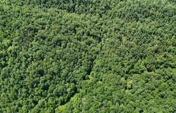 TBD Laurel Run Rd, Rosedale, WV 26636