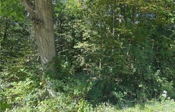 Darlington Road, Chippewa Twp, PA 15010