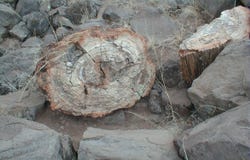 N8526 lot: 13, Concho, AZ 85924
