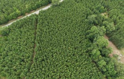 Hwy 3, Barnwell, SC 29812