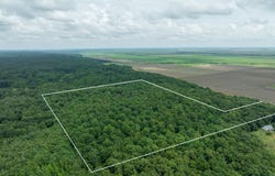 Bay Lane, Harrisburg, AR 72432