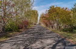4825 E 21 S, Ammon, ID 83406