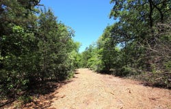 CR 4552, Winnsboro, TX 75494