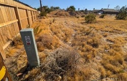 Dolphin, Ridgecrest, CA 93555